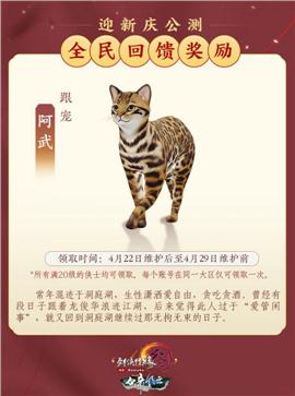 网页天龙八部私服制作